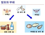 발효와 부패 - 미생물 이야기 - 한국전통주학교 한국전통주학교