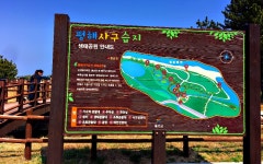 울진군 평해 해안사구습지 - 우리들의 이야기 - 설헌서택 설헌서택