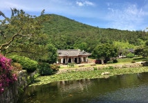 진도 운림산방(珍島 雲林山房)에서 - 우리들의 이야기 - 설헌서택 설헌서택