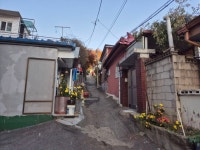 15일)구리시 딸기원로 - 카페 앨범 - (사)태극기무궁화사랑회 15일)구리시 딸기원로