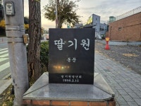 15일)구리시 딸기원로 - 카페 앨범 - (사)태극기무궁화사랑회 15일)구리시 딸기원로