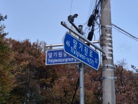 15일)구리시 딸기원로 - 카페 앨범 - (사)태극기무궁화사랑회 15일)구리시 딸기원로