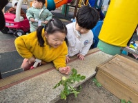 12월3주 풀잎반의 놀이이야기 - ♥사랑스러운 아이들 사진♥ - 공립밝은뜨락어린이집 12월3주 풀잎반의 놀이이야기