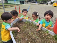 6월 3주 풀잎반의 놀이이야기 - ♥사랑스러운 아이들 사진♥ - 공립밝은뜨락어린이집 6월 3주 풀잎반의 놀이이야기
