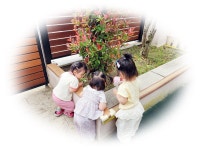 6월 3주 줄기반 친구들의 놀이이야기^^ - ♥사랑스러운 아이들 사진♥ - 공립밝은뜨락어린이집 6월 3주 줄기반 친구들의 놀이이야기^^