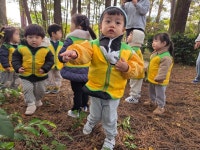 풀잎반 11월 2주 놀이입니다 - ♥사랑스러운 아이들 사진♥ - 공립밝은뜨락어린이집 풀잎반 11월 2주 놀이입니다