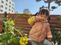 풀잎반 4월 1주 놀이입니다. - ♥사랑스러운 아이들 사진♥ - 공립밝은뜨락어린이집 풀잎반 4월 1주 놀이입니다.