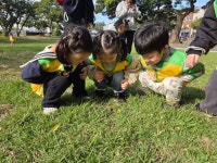 풀잎반 10월5주 놀이입니다. - ♥사랑스러운 아이들 사진♥ - 공립밝은뜨락어린이집 풀잎반 10월5주 놀이입니다.