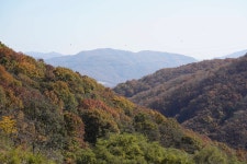성거산성지순례 개인사진1 - ♱ 사진 자료실 - 망우동성당사목회 성거산성지순례 개인사진1