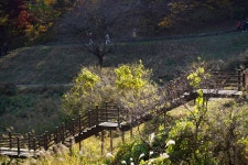 성거산성지순례 개인2 - ♱ 사진 자료실 - 망우동성당사목회 성거산성지순례 개인2