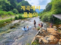 무조산약초하우스민박펜션 🏕 화천사창리맛집 제이쿠치나... 약초곡괭이 산행장비 무조산약초하우스민박펜션 🏕 화천사창리맛집 제이쿠치나