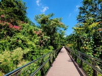 ♣ 밀양 용두산 잔도길 트레킹 송년 총회 ♣ - ◈--★┏정기산행방┓ - 울산 산여울 산악회 울산 산여울 산악회