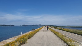 서해랑길15차 황금산~삼길포~장고항~삽교천코스 - 라이딩 궤적과 사진 - 당진두바퀴사랑 서해랑길15차 황금산~삼길포~장고항~삽교천코스