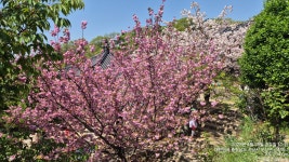 당진~운산~개심사코스 - 라이딩 궤적과 사진 - 당진두바퀴사랑 당진~운산~개심사코스