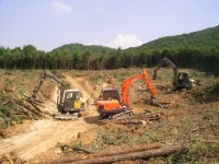 무료벌목전문,임목폐기물전문업체**에이치원(주)** 임목폐기물현장파쇄/골프장임목폐기물현장파쇄/도로공사임목폐기물현장파쇄/이동식현장파쇄... 