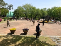 20260423(목) 평택 소풍공원, 오산 물향기수목원 - 정기산행 사진 - 서울중앙농협 산악회 20260423(목) 평택 소풍공원, 오산 물향기수목원