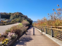 화원읍 구라리 달성습지 - 명곡 산책길 - 명곡미래빌 1단지아파트 명곡미래빌 1단지아파트