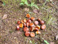 기내미 재 임도 산책 - 명곡 산책길 - 명곡미래빌 1단지아파트 명곡미래빌 1단지아파트