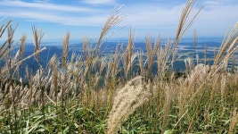 광천 오서산 - 산과바람과구름 - 산과바람과구름 광천 오서산