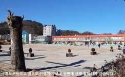 포항 구룡포 응암산 - ┏━◐정기산행공지/신청 - 경주천마산악회 포항 구룡포 응암산