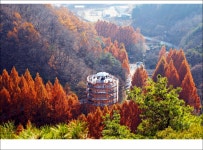 109차 대전 장태산 - ┏━◐정기산행공지/신청 - 경주천마산악회 109차 대전 장태산