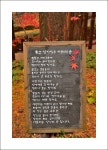 109차 대전 장태산 - ┏━◐정기산행공지/신청 - 경주천마산악회 109차 대전 장태산