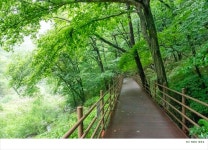 서산 가야산악회 82차 26년 07월 산행 - 장수 장안산 덕산계곡(방화동생태길) - ***산행안내 및 신청*** - 서산가야산악회 서산 가야산악회 82차... 