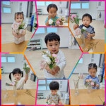 3세 금별반 -꽃꽂이를 해요 - 혜성친구들의 일상. - 사회복지법인 혜성어린이집 3세 금별반 -꽃꽂이를 해요