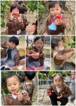 만3세 무지개반 ＜새콤달콤 딸기밭 체험＞ - 혜성친구들의 일상. - 사회복지법인 혜성어린이집 만3세 무지개반 ＜새콤달콤 딸기밭 체험＞