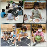 4세 - ＜동글동글 양배추 놀이＞ - 혜성친구들의 일상. - 사회복지법인 혜성어린이집 4세 - ＜동글동글 양배추 놀이＞