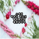 🍃🌼🍃그대의 하루가 행복하라고🍃🌼🍃 - 그대 커피 한잔 - 부산사랑 경상라이프 🍃🌼🍃그대의 하루가 행복하라고🍃🌼🍃