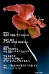 언약의 계보 - 카이스트 - 글 방 - 부산사랑 경상라이프 언약의 계보