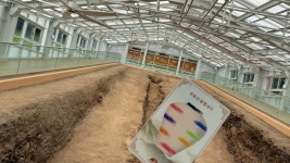 토닥숲놀이 2-평촌나들이 - 토닥숲놀이터 - 문산마을공동체 토닥숲놀이 2-평촌나들이