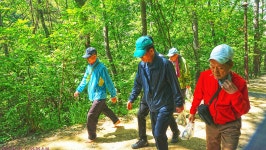 국세동우회 평안동산 걷기 행사 스케치＜4/30,수＞_2탄 - ★ 。。국세동우회 소식 - 74세우회 국세동우회 평안동산 걷기 행사 스케치＜4... 