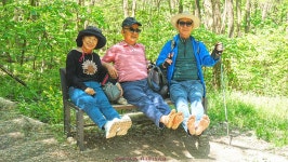 국세동우회 평안동산 걷기 행사 스케치＜4/30,수＞_2탄 - ★ 。。국세동우회 소식 - 74세우회 국세동우회 평안동산 걷기 행사 스케치＜4/30... 