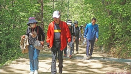 국세동우회 평안동산 걷기 행사 스케치＜4/30,수＞_2탄 - ★ 。。국세동우회 소식 - 74세우회 국세동우회 평안동산 걷기 행사 스케치＜4/30... 