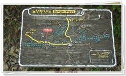 국세동우회 평안동산 걷기 행사 스케치＜4/30,수＞_2탄 - ★ 。。국세동우회 소식 - 74세우회 국세동우회 평안동산 걷기 행사 스케치＜4/30... 