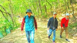 국세동우회 평안동산 걷기 행사 스케치＜4/30,수＞_2탄 - ★ 。。국세동우회 소식 - 74세우회 국세동우회 평안동산 걷기 행사 스케치＜4... 