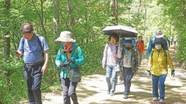 국세동우회 평안동산 걷기 행사 스케치＜4/30,수＞_2탄 - ★ 。。국세동우회 소식 - 74세우회 국세동우회 평안동산 걷기 행사 스케치＜4/30... 