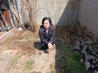 # 금포국민학교졸업 장세영이용소 금빛대학졸업.& - 우리들의 이야기 - 금빛대학졸업 # 금포국민학교졸업 장세영이용소 금빛대학졸업.&