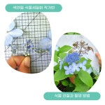 식물세밀화 색연필부분 작가반 오픈 - 자유기고방 - 제주 숲해설가 협회 식물세밀화 색연필부분 작가반 오픈