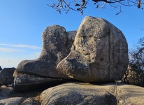 19(수) 8000-5162 전국을 누비며 69차 남해군 편 2-1일차 - 왕대나무 방 - 계룡수요산악회 2025. 11. 19(수) 8000-5162 전국을 누비며... 