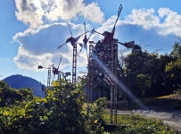 19(수) 8000-5162 전국을 누비며 69차 남해군 편 2-2일차 - 왕대나무 방 - 계룡수요산악회 2025. 11. 19(수) 8000-5162 전국을 누비며... 