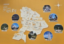 2025. 6. 26(목) 8000-5106 전국을 누비며 66차 천안시 편 2-3일차 - 왕대나무 방 - 계룡수요산악회 2025. 6. 26(목) 8000-5106 전국을... 