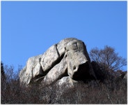 19(수) 8000-5162 전국을 누비며 69차 남해군 편 2-1일차 - 왕대나무 방 - 계룡수요산악회 2025. 11. 19(수) 8000-5162 전국을 누비며... 