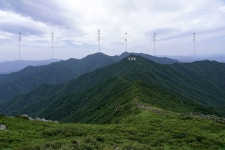 덕유산 국립공원 무룡산 야생화 천국 산행[2026.8.1][258회] - 산행안내 및 예약신청 - 익산 다울산악회 익산 다울산악회