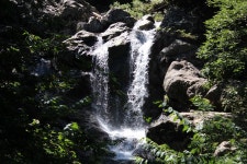 도장산(문경) 심원폭포 쌍룡계곡 산행[2025.8.9][232회] - 산행안내 및 예약신청 - 익산 다울산악회 익산 다울산악회