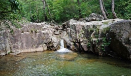 칠보산/쌍곡계곡(괴산군) 산행[2022.8.6][146회] - 산행안내 및 예약신청 - 익산 다울산악회 익산 다울산악회