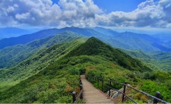 덕유산 어사길 산행[2023.8.5][174회] - 산행안내 및 예약신청 - 익산 다울산악회 익산 다울산악회