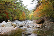 남산제일봉(천불산)/가야산소리길 산행[2025.10.11][236회] - 산행안내 및 예약신청 - 익산 다울산악회 익산 다울산악회